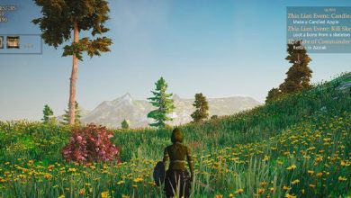 Photo of Загадочный wmdrakon: обзор особенностей